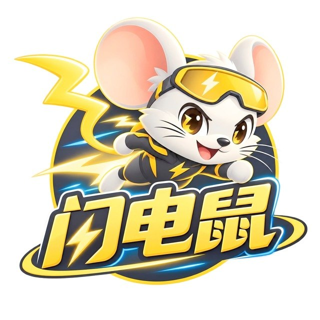 闪电鼠 VPN 套餐与 VLESS 协议的概述